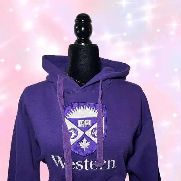 Y2K 2000s Western University Pullover Hoodie - Picture 3 of 4